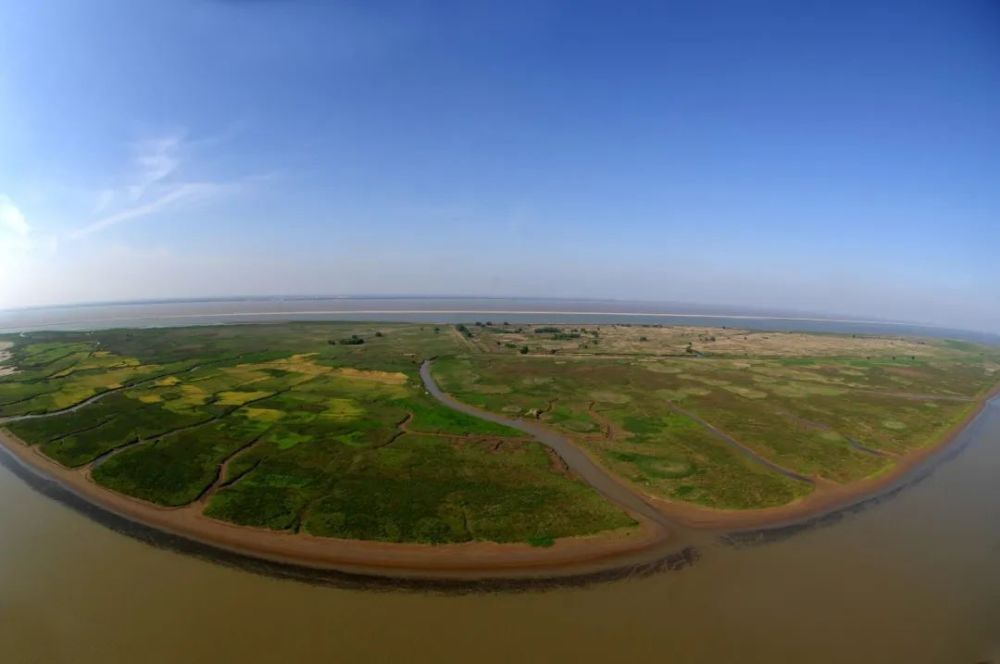 上海青草沙水库荣获"人民治水·百年功绩"治水工程_腾讯新闻