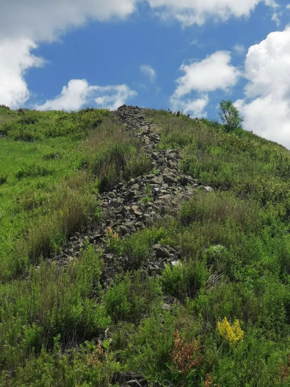 一战成名野狐岭千种惊险百里景