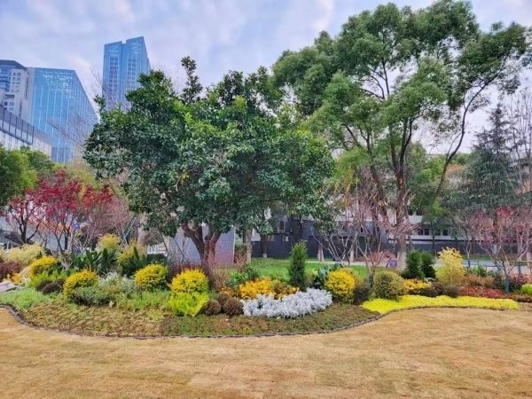 武汉城市绿化上新花园路口可实现三季有花四季有景