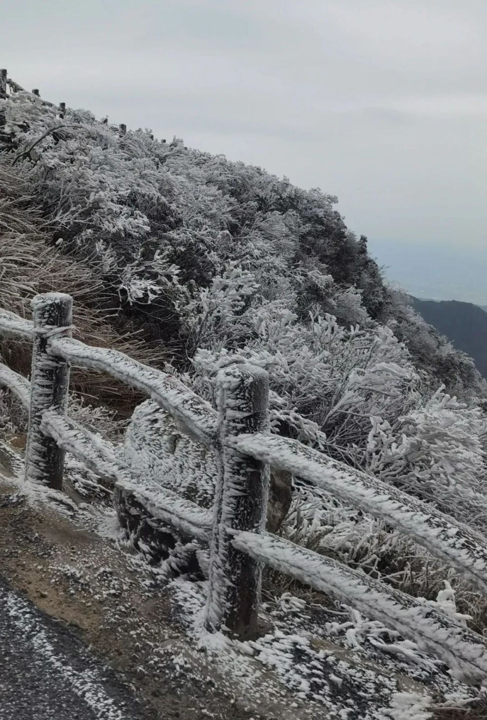 武鸣大明山雾凇图片