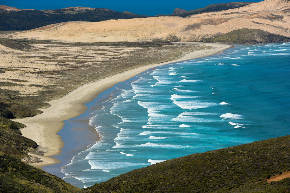 新西兰南岛海域增温异常