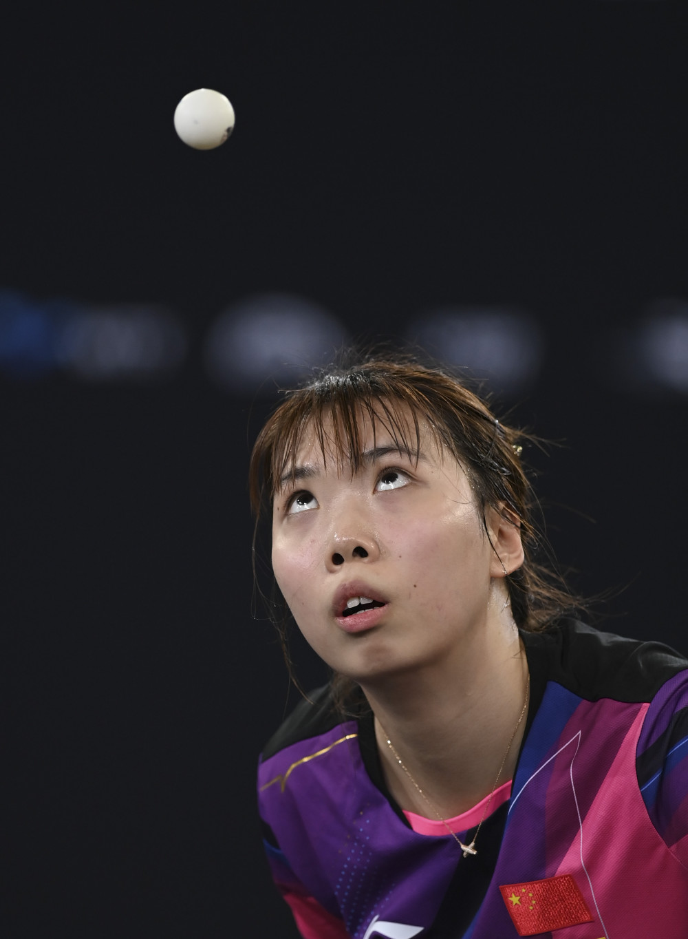 (体育)乒乓球——wtt多哈挑战赛:齐菲止步预赛第二轮_腾讯新闻