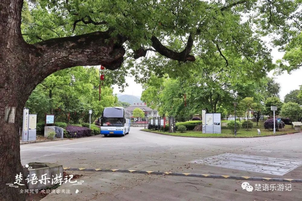 村子的左邊有鵁鶄山和馬頭山,右邊有鳳凰山,村子因為名為