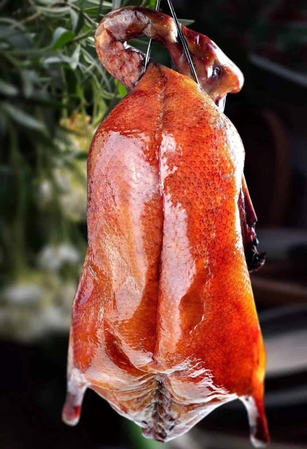 在清光绪年间的《广州竹枝词》中记载:"广东烤鸭美而香,却胜烧鹅说古