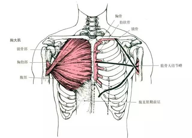 阳过后总是胸口痛是心肌炎吗这几项检查不可少