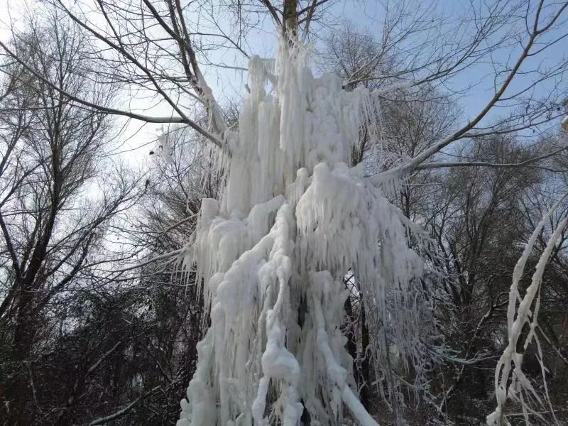 临洮县冰雪旅游图片