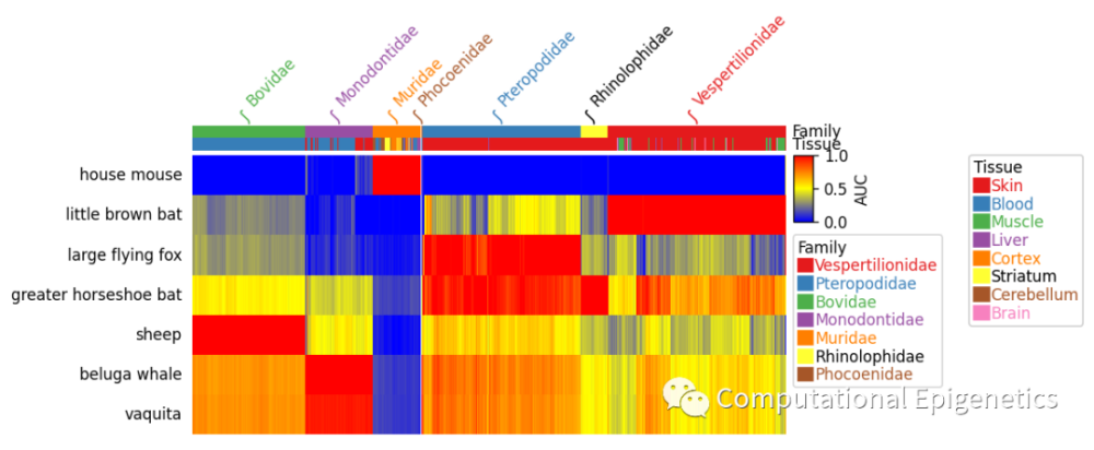 Pycomplexheatmap进阶教程：用python画热图的【行】【列】注释信息腾讯新闻