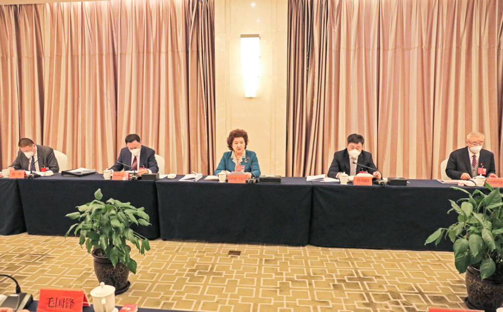 服务大局谋发展依法履职谱新篇博州代表团审议自治区人大常委会及法检