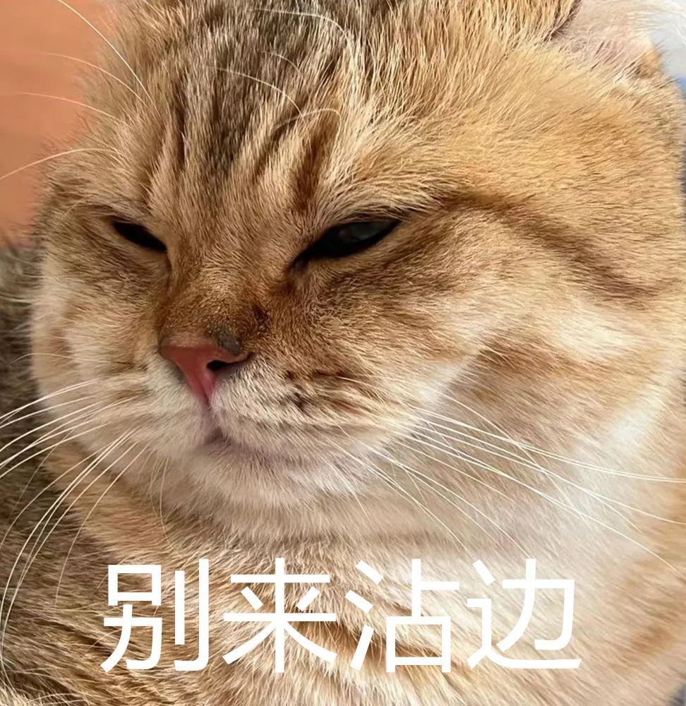 送给他们发布哥只有一个表情包对于"碰瓷团伙"糟心到家了那真是一旦再