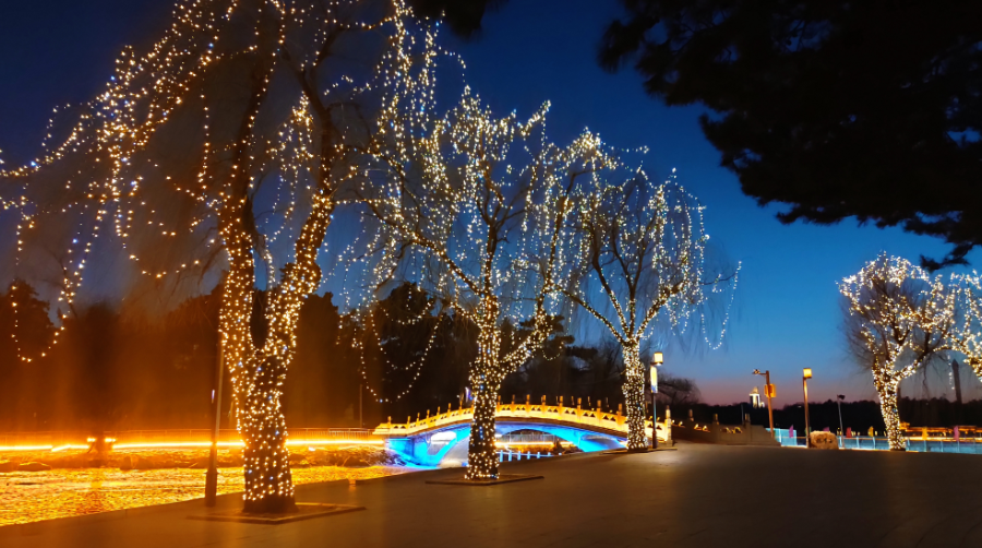 渭南南湖公园夜景图片