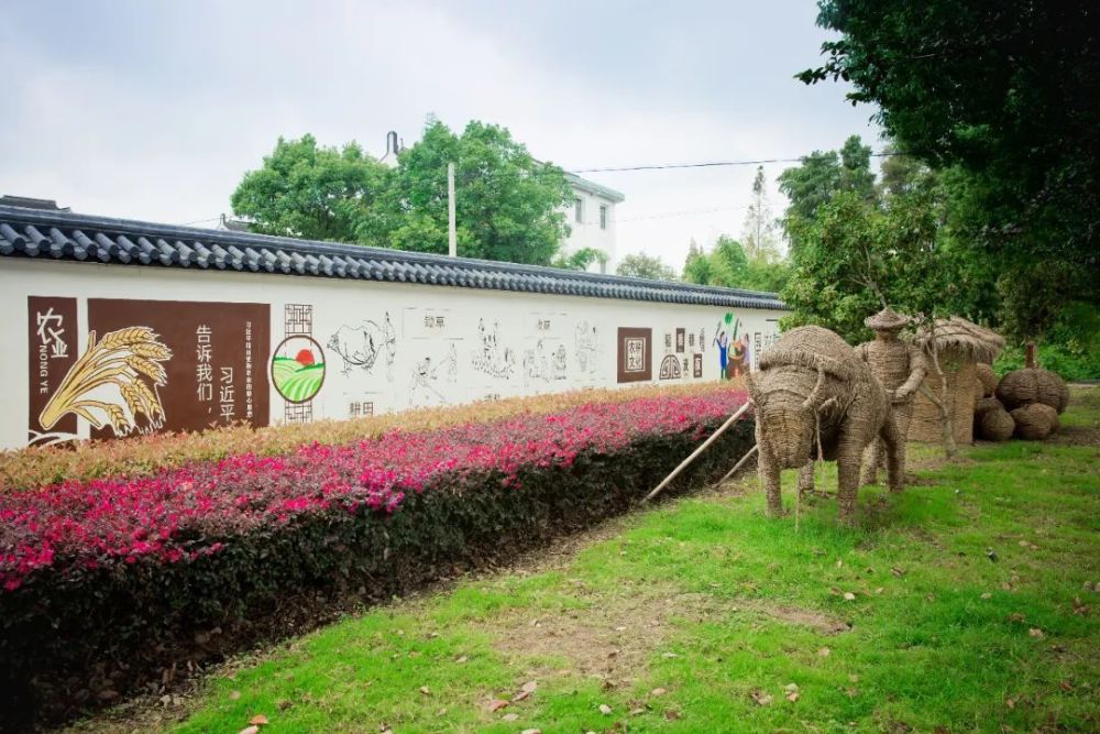 民主善治水韻稻香生態宜居金山這裡成功創建上海市美麗鄉村示範村