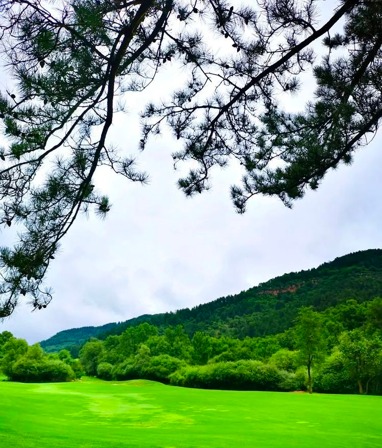 山西吕梁文水苍儿会