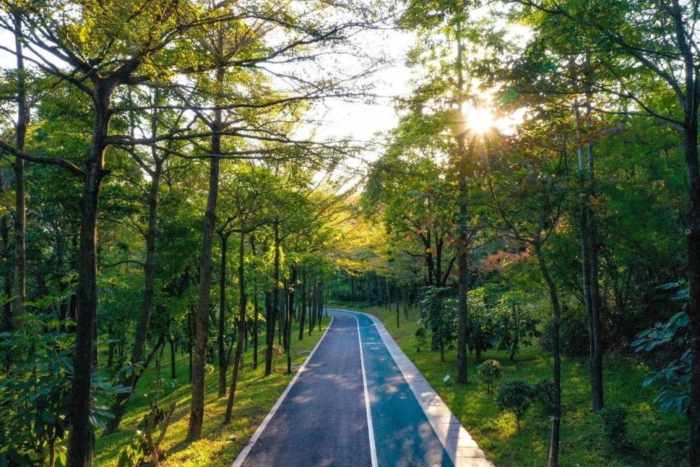 穿越山林,绿道健身,林下亲子游乐……聚龙山生态公园 "焕新"_腾讯新闻