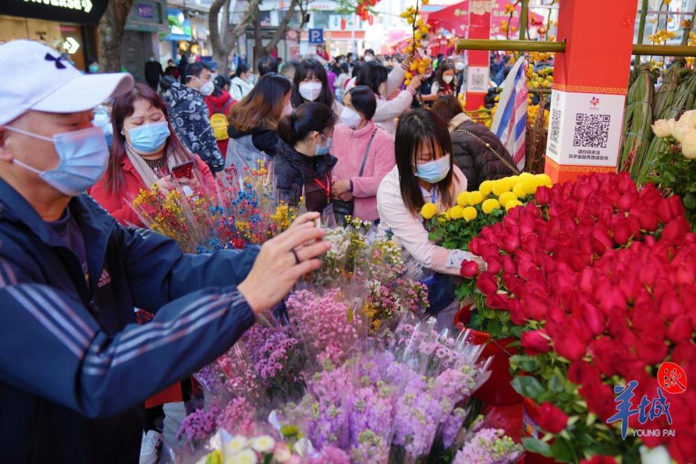 今年越秀区还分别在西湖路广场,北京路铜壶滴漏等地设置共10处花市