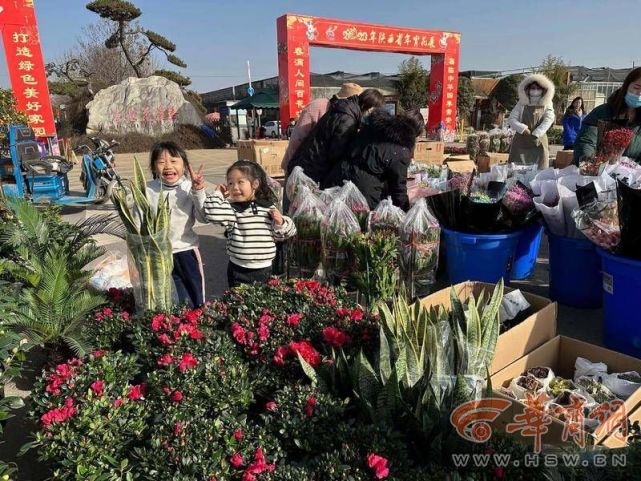 西安子午大道花卉市场图片