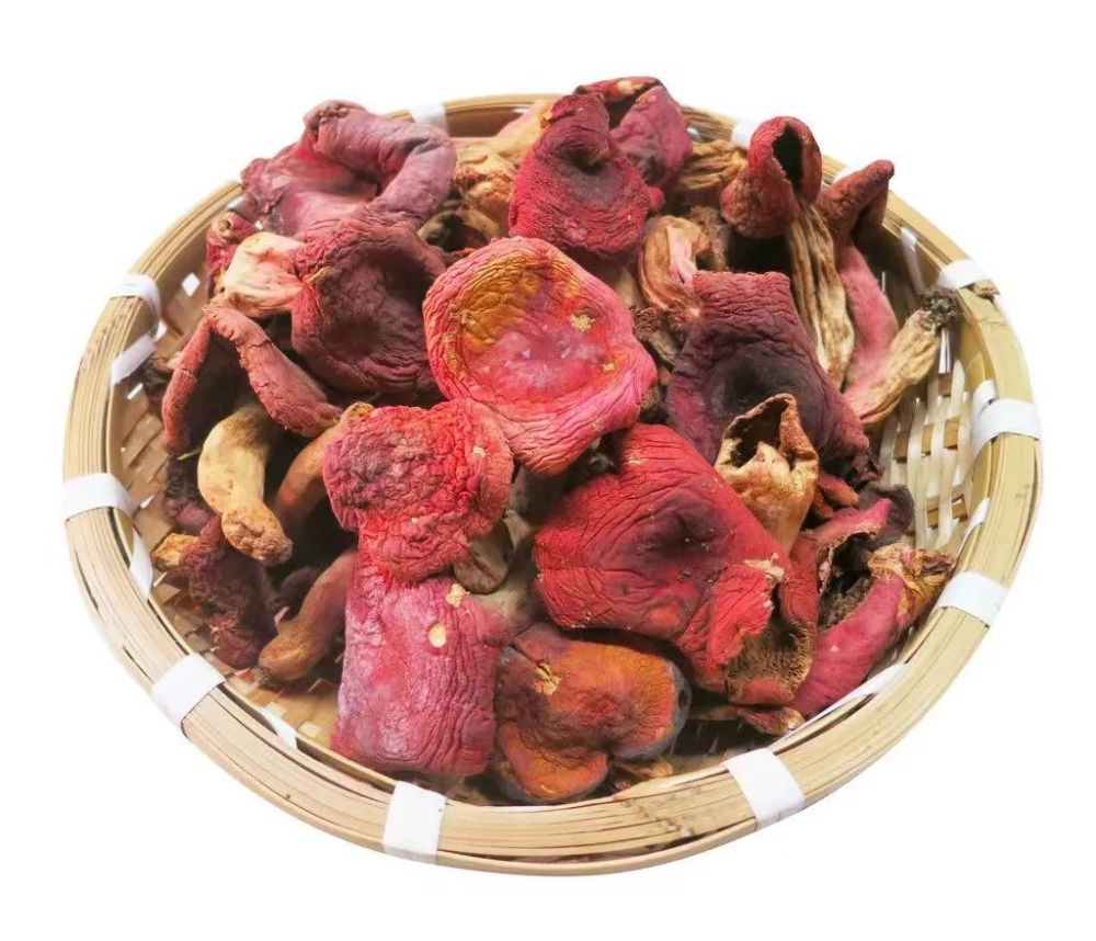 广西容县红菇撑开致富伞农户喜赚生态钱