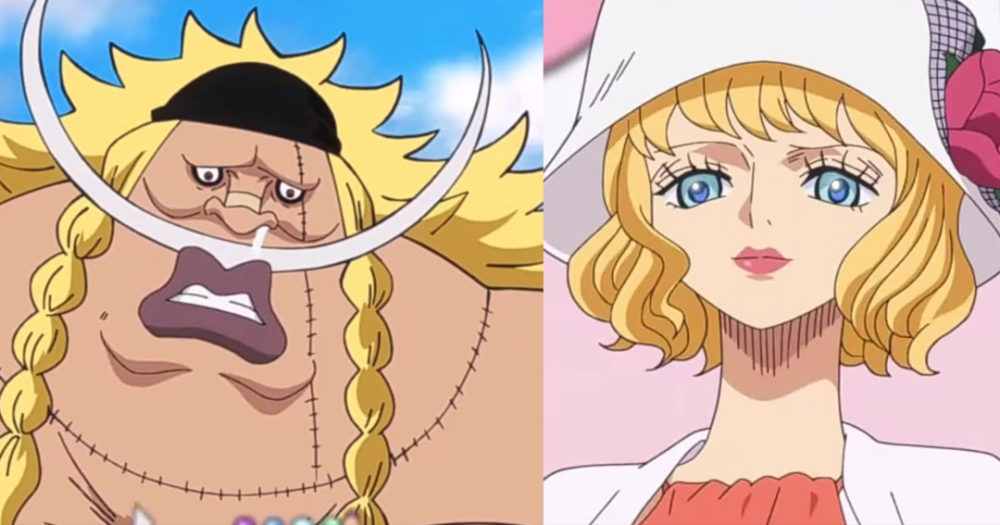 海贼王1072话-上色图分享,斯图西的魅力再次加分_腾讯新闻