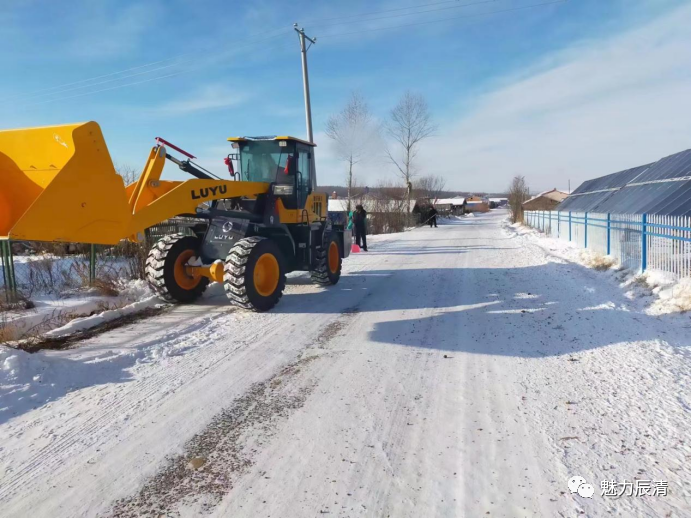 『爱国卫生运动』孙吴县辰清镇开展"春风行动"暨越冬垃圾清仓见底行动
