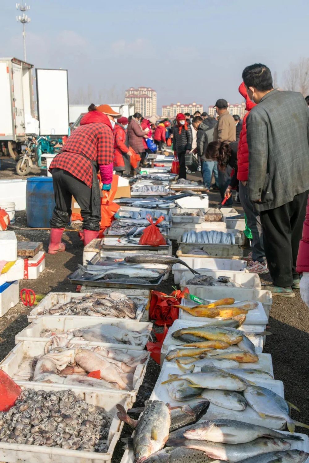 嗨游青岛61悦享冬季|逛"黄河大集",品中国年味_腾讯新闻