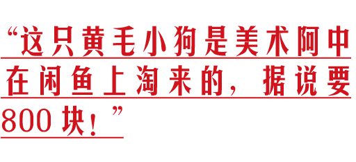 小虎队春晚再聚时间_2016地方台春晚时间_春晚时间