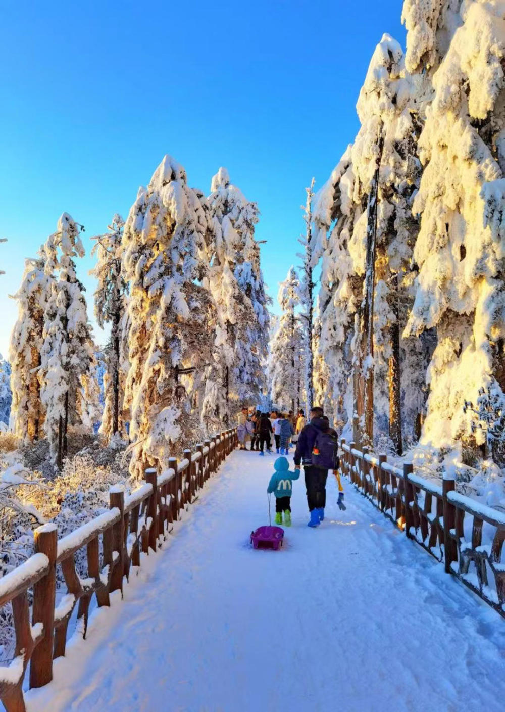 四川瓦屋山景点坑人图片