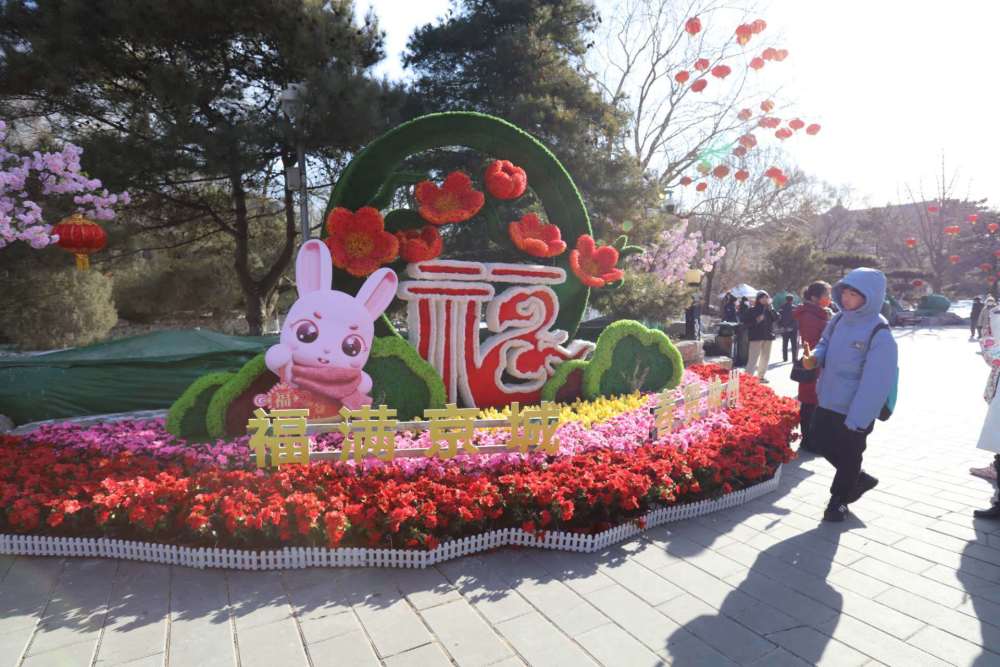 北京：大年初二全市83万人逛公园二年级龟兔赛跑的数学题2023已更新(知乎/网易)二年级龟兔赛跑的数学题