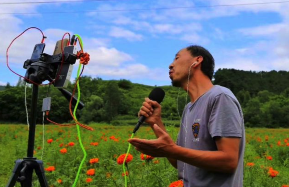 央视春晚 网络春晚,河北守山大叔这个春节有点忙……_腾讯新闻