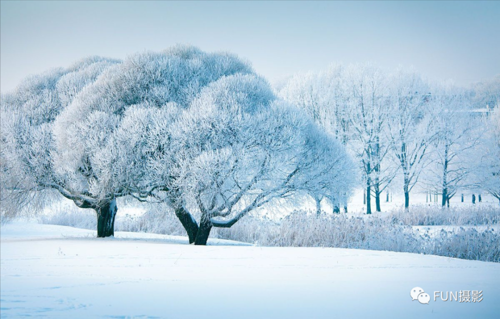想拍出大气唯美有意境的雪景照片这三个技巧要先学会干货教程