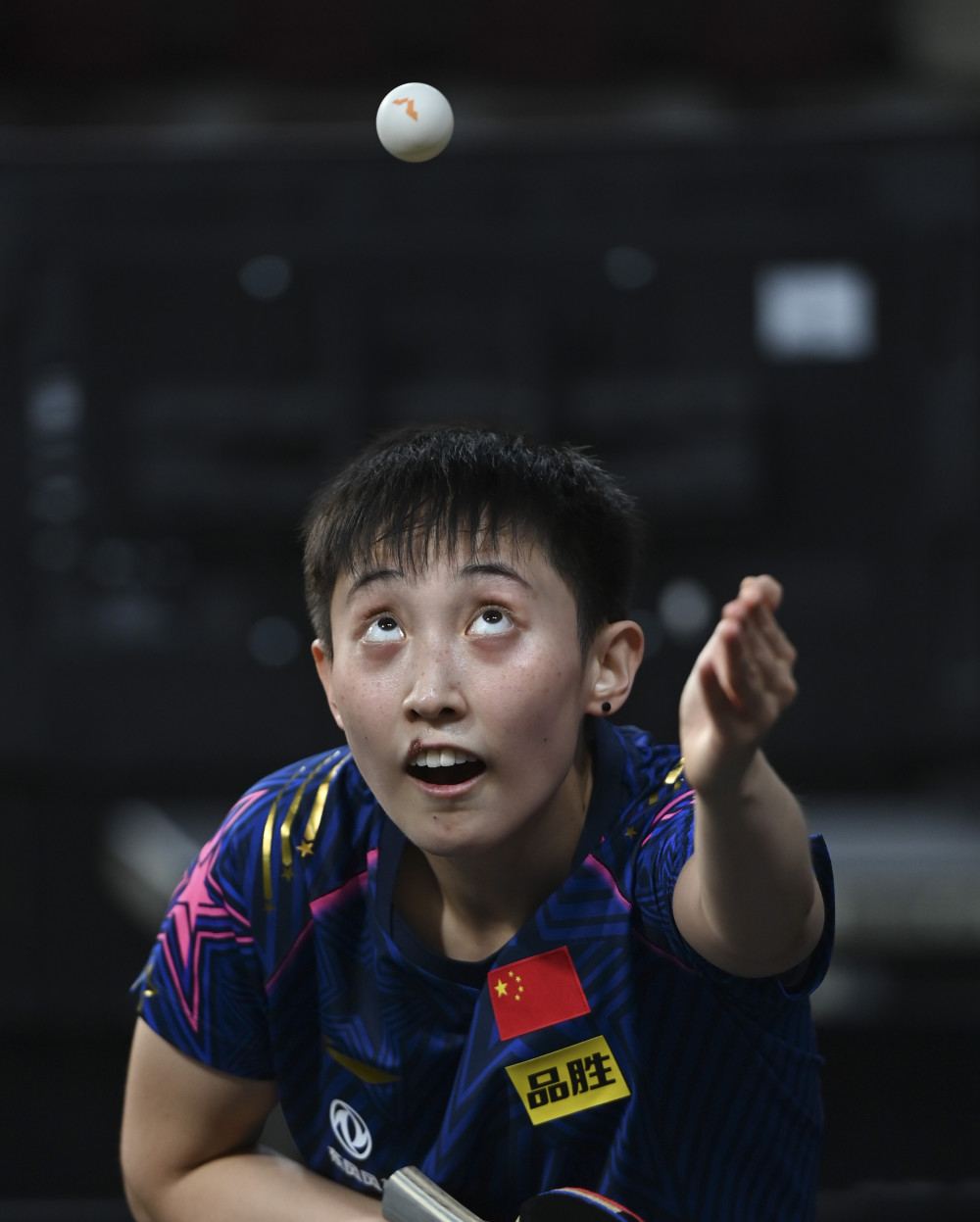 范思琪 乒乓球图片
