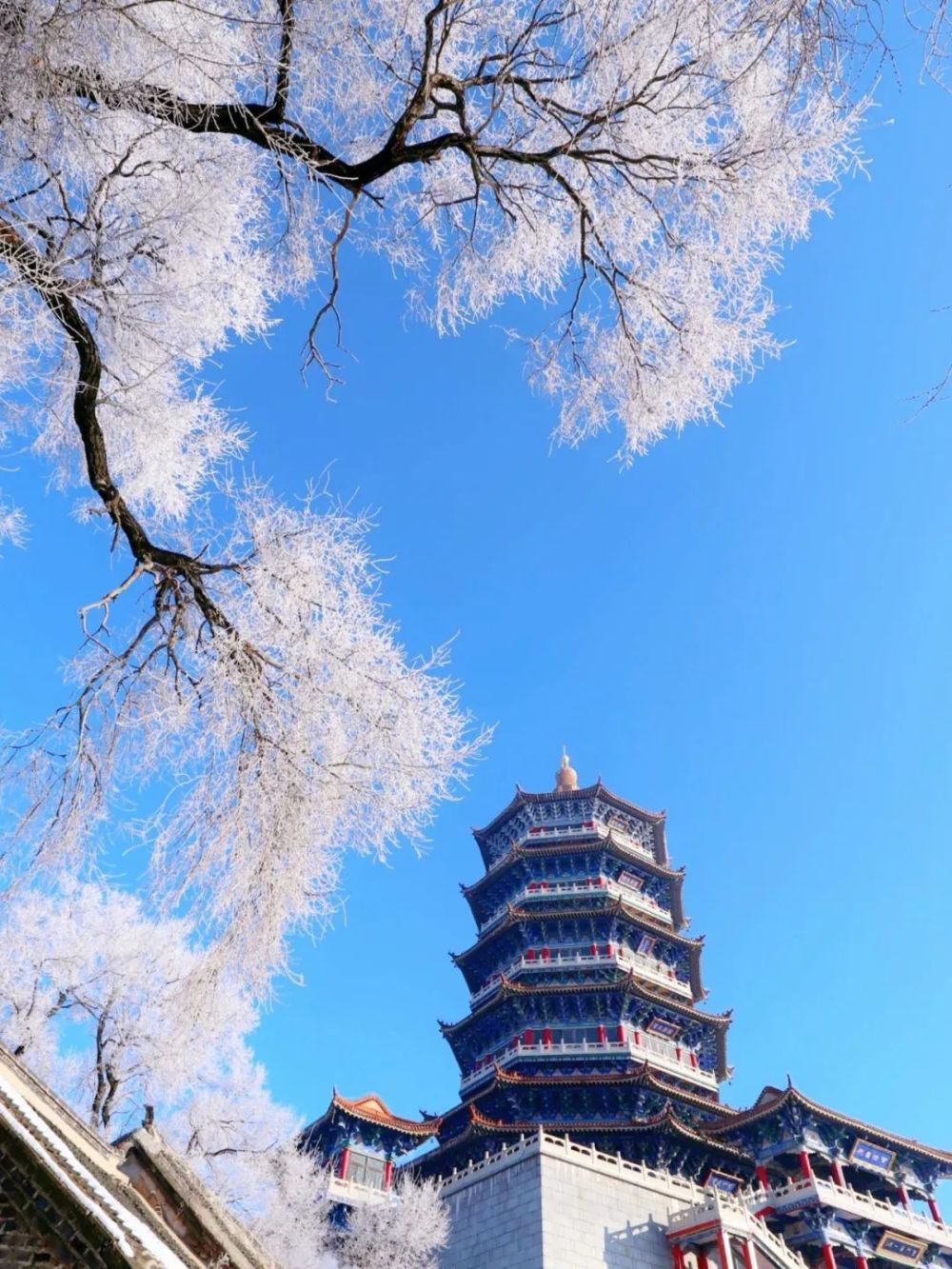 吉林松原雪景图片