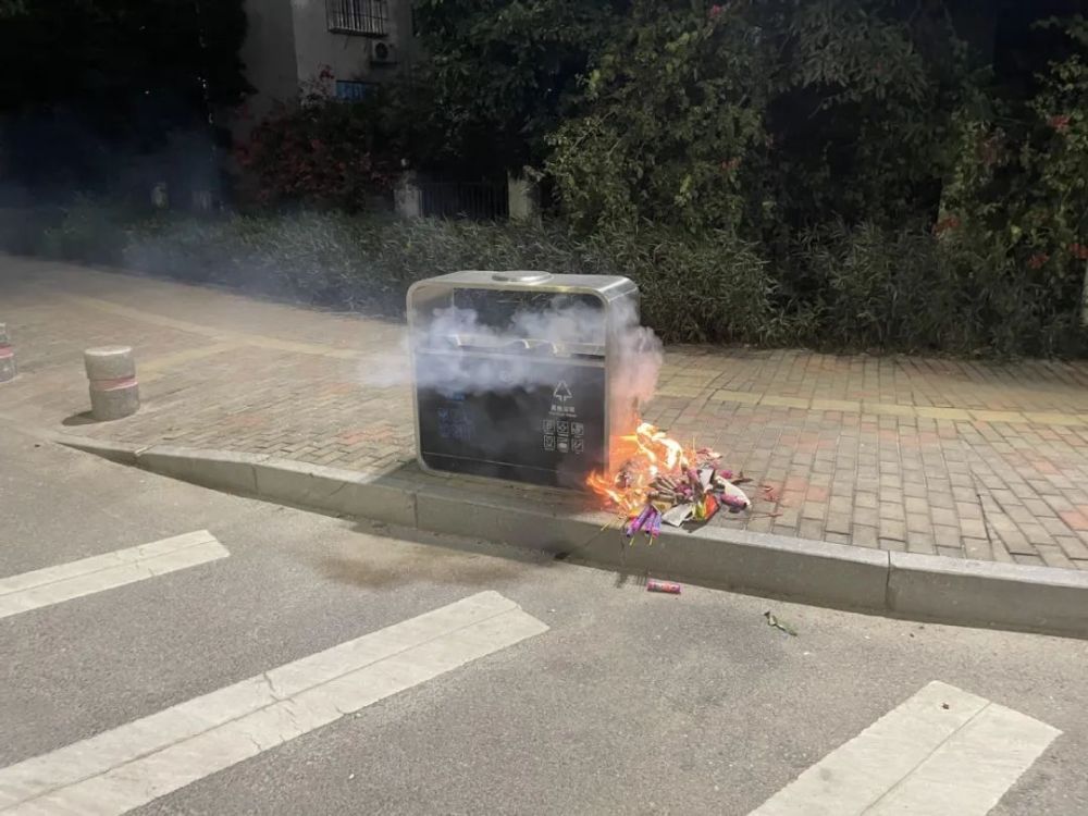 导致垃圾箱起火.