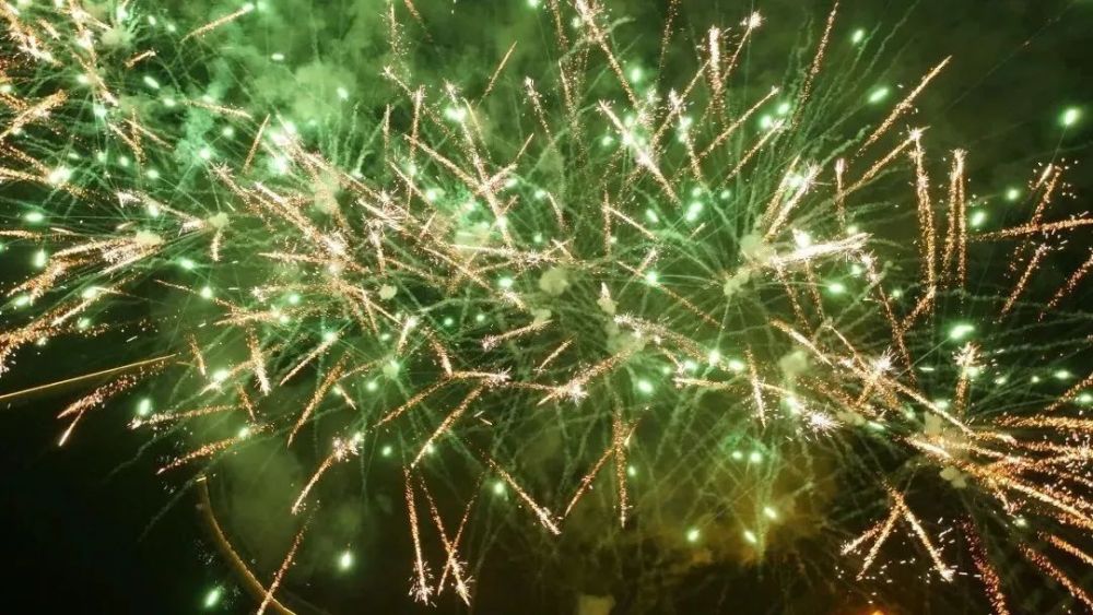 1月26日晚19:00,巴南融媒主播带你逛多彩植物园,一起看烟花秀