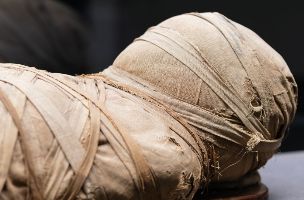 "木乃伊"是对死者的不尊重?大英博物馆这波操作引群嘲_腾讯新闻