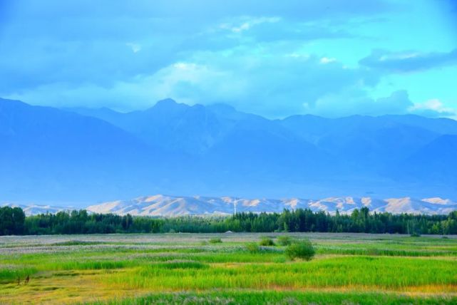 赛里木湖 博州融媒体中心图库1,蓝色是大自然赐予了博州最美的景色.