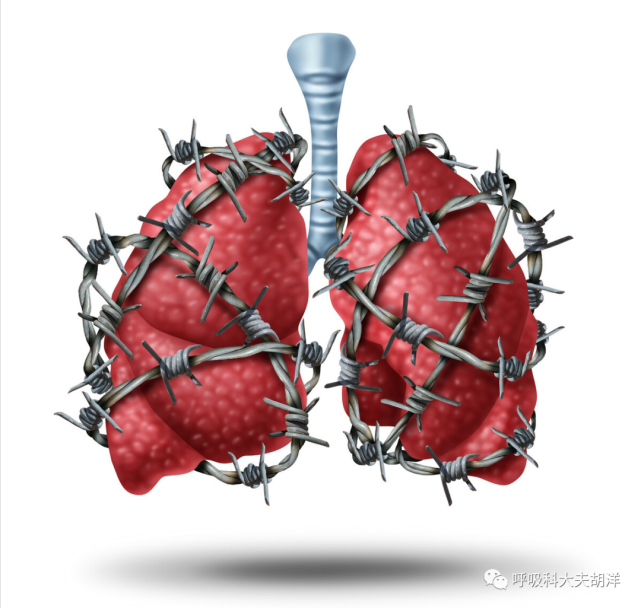 新冠治好了肺部图片图片