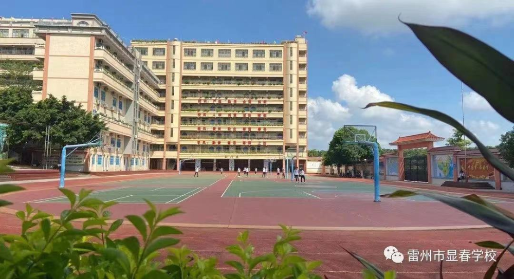雷州市第十二小学廉江市第九小学廉江市第五小学(廉江市第五小学)16所