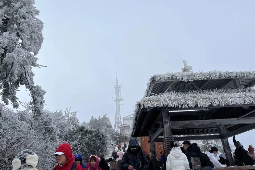 景宁东弄非遗盛会（景宁东弄村开发旅游景点图片） 第16张