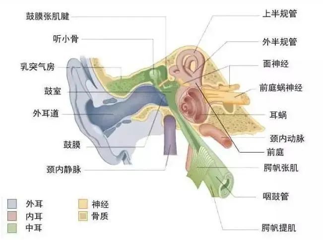 元宵节后半夜，将迎来今年年度最小满月！培优新方法和超级课堂哪个好2023已更新(今日/知乎)培优新方法和超级课堂哪个好