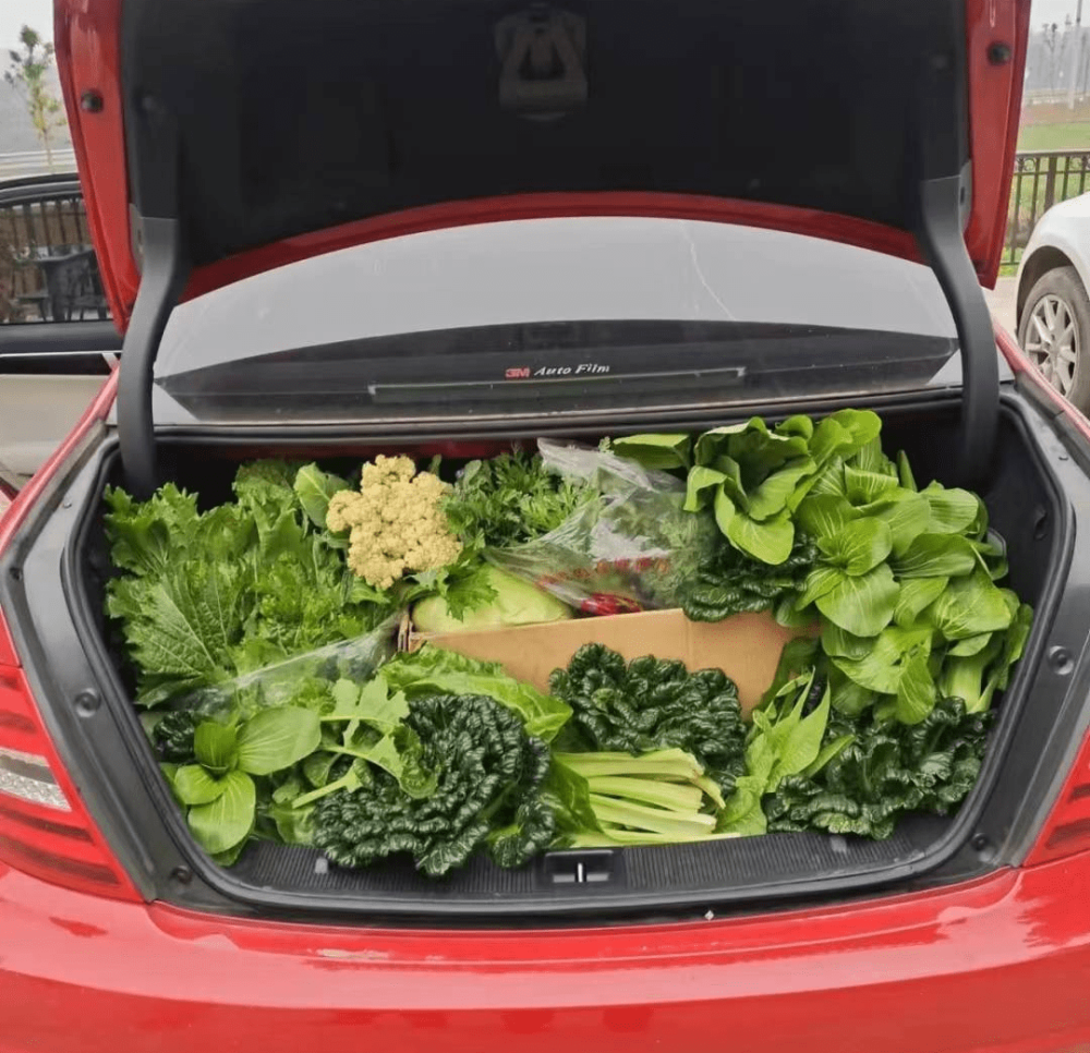 朋友圈晒春节返程的后备箱堪称土特产聚会网友暖心又扎心