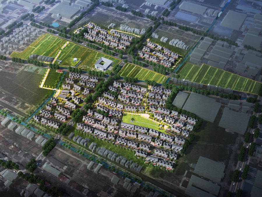 2023年叶榭镇实事项目出炉快来看看哪些是你最关心的