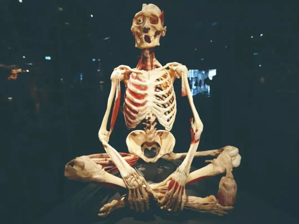 这样的人体展览你敢看?_腾讯新闻