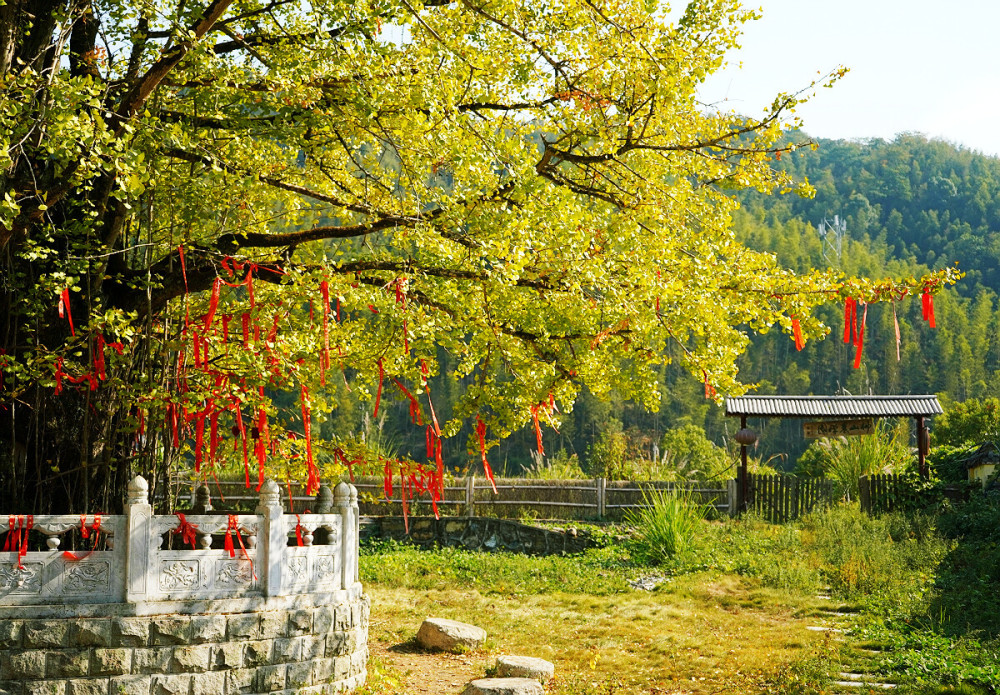 江西宜春栖隐寺千年禅宗圣地