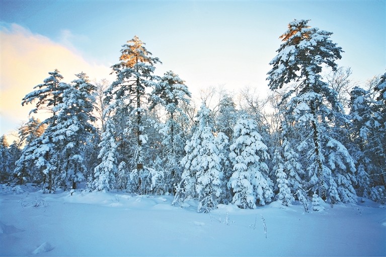 吉林松原雪景图片