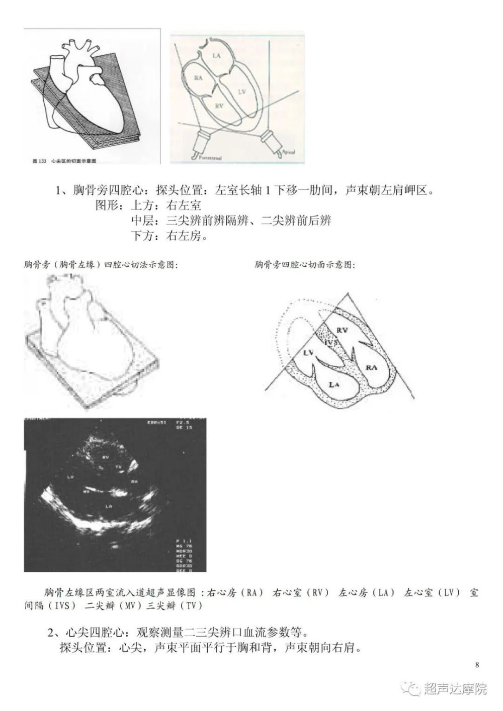 形式多样,包括图文,图谱,视频等.欢迎广大解剖学习者关注.