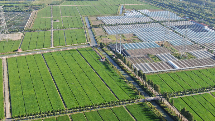 松江农业绿色发展指数跃居全国第一这项关键指标五年增长30倍