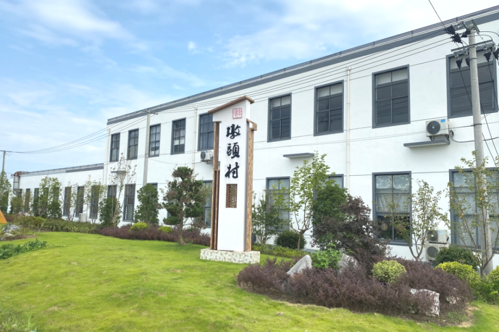 借着乡村振兴的东风描绘锦绣墩头新画卷