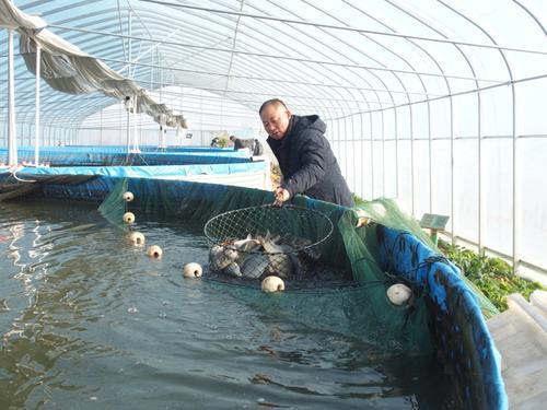 一亩养鱼利润2万(养鱼一亩能有多少利润)