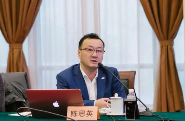 陈思英加入长城，任魏品牌CEO兼坦克品牌营销总经理_腾讯新闻