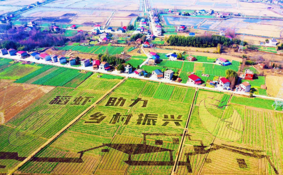 10万亩油菜花静待3月花开时 南县罗文村成为2023年湖南油菜花节主会场