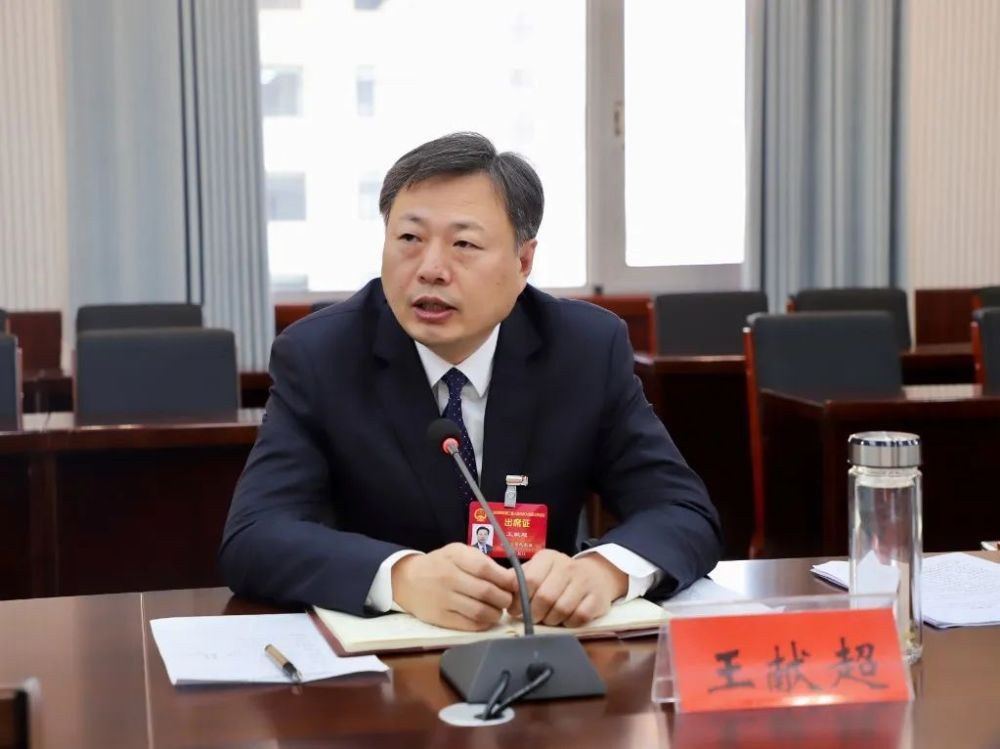 淮阳区区长王献超到区二届人大三次会议四通镇代表团审议政府工作报告
